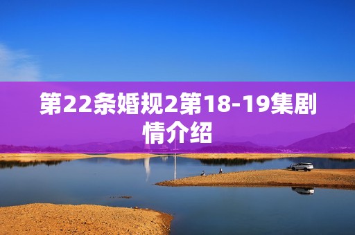 第22条婚规2第18-19集剧情介绍