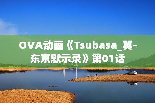 OVA动画《Tsubasa_翼-东京默示录》第01话