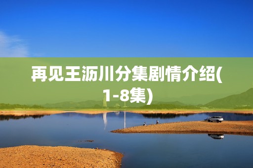 再见王沥川分集剧情介绍(1-8集)