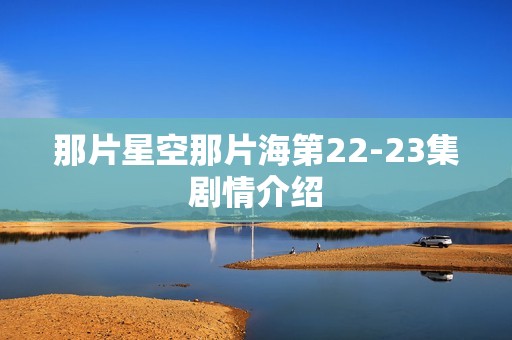 那片星空那片海第22-23集剧情介绍