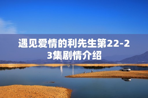 遇见爱情的利先生第22-23集剧情介绍