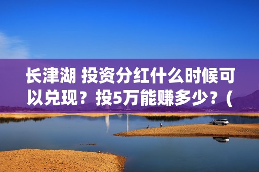 长津湖 投资分红什么时候可以兑现？投5万能赚多少？(长津湖投资额)