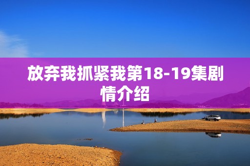 放弃我抓紧我第18-19集剧情介绍