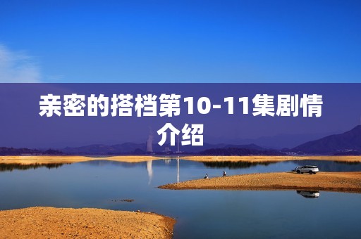 亲密的搭档第10-11集剧情介绍