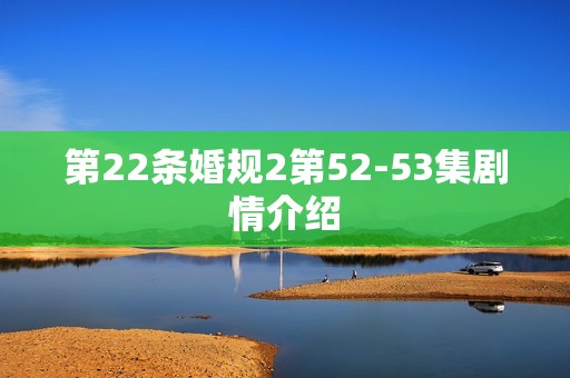 第22条婚规2第52-53集剧情介绍
