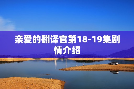 亲爱的翻译官第18-19集剧情介绍