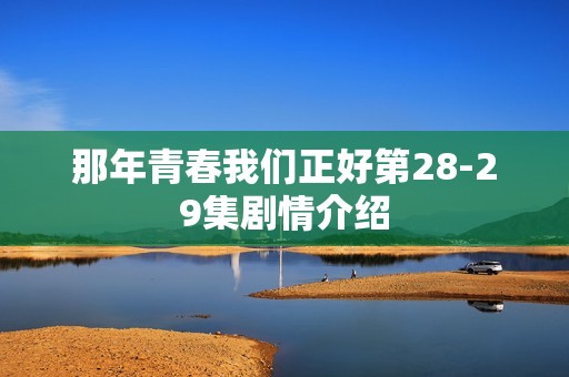 那年青春我们正好第28-29集剧情介绍