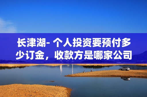 长津湖- 个人投资要预付多少订金，收款方是哪家公司？(长津湖详情)
