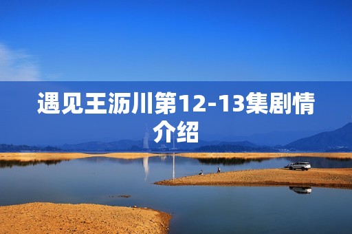 遇见王沥川第12-13集剧情介绍