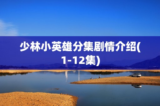 少林小英雄分集剧情介绍(1-12集)