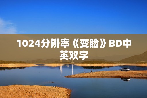 1024分辨率《变脸》BD中英双字