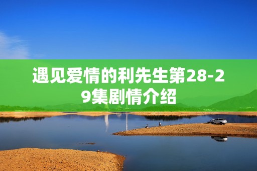 遇见爱情的利先生第28-29集剧情介绍
