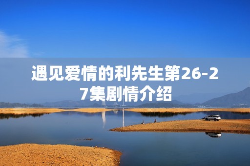 遇见爱情的利先生第26-27集剧情介绍