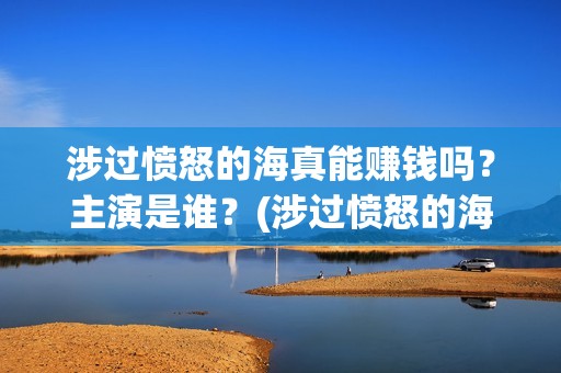 涉过愤怒的海真能赚钱吗？主演是谁？(涉过愤怒的海 海报)