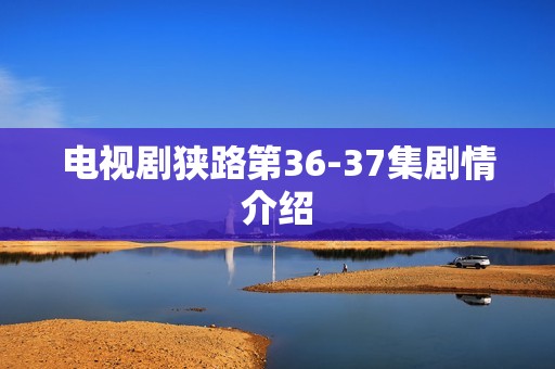 电视剧狭路第36-37集剧情介绍