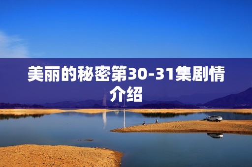 美丽的秘密第30-31集剧情介绍