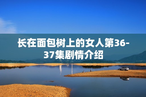 长在面包树上的女人第36-37集剧情介绍