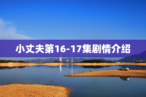 小丈夫第16-17集剧情介绍