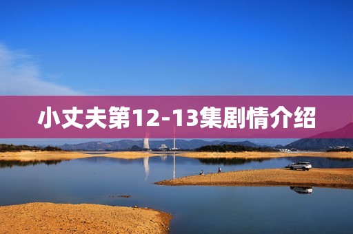 小丈夫第12-13集剧情介绍