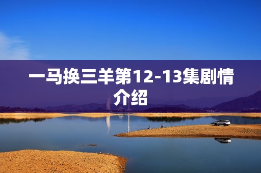 一马换三羊第12-13集剧情介绍