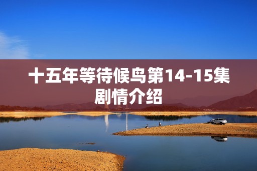 十五年等待候鸟第14-15集剧情介绍