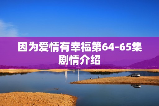 因为爱情有幸福第64-65集剧情介绍