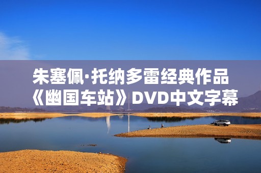 朱塞佩·托纳多雷经典作品《幽国车站》DVD中文字幕