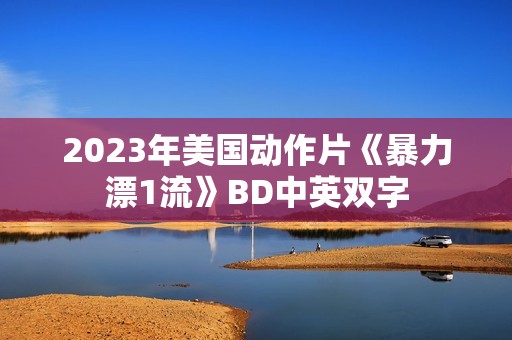 2023年美国动作片《暴力漂1流》BD中英双字