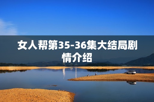 女人帮第35-36集大结局剧情介绍