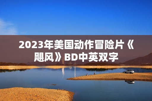 2023年美国动作冒险片《飓风》BD中英双字