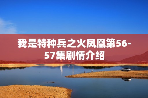 我是特种兵之火凤凰第56-57集剧情介绍