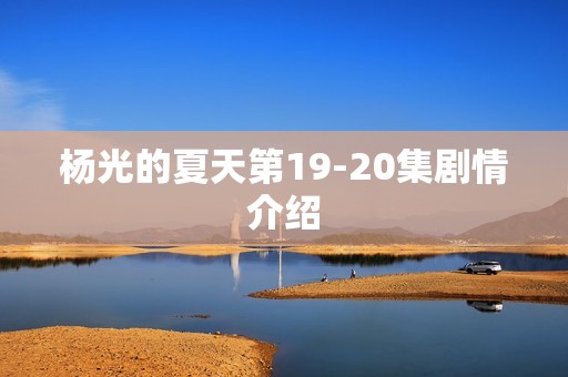 杨光的夏天第19-20集剧情介绍