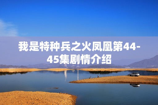 我是特种兵之火凤凰第44-45集剧情介绍