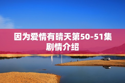 因为爱情有晴天第50-51集剧情介绍