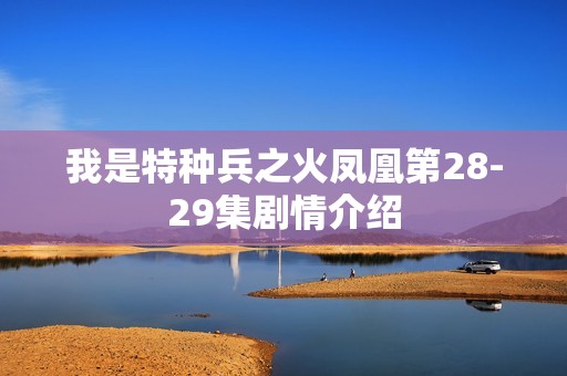 我是特种兵之火凤凰第28-29集剧情介绍