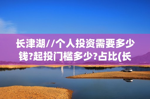 长津湖//个人投资需要多少钱?起投门槛多少?占比(长津湖vr)