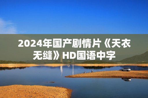 2024年国产剧情片《天衣无缝》HD国语中字