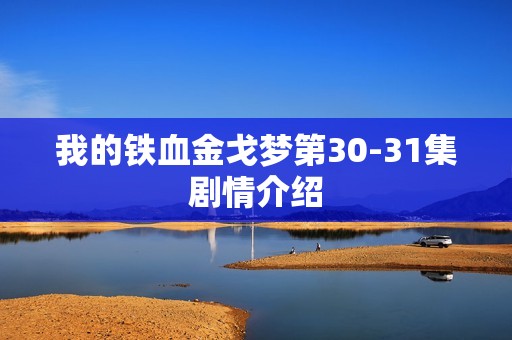 我的铁血金戈梦第30-31集剧情介绍