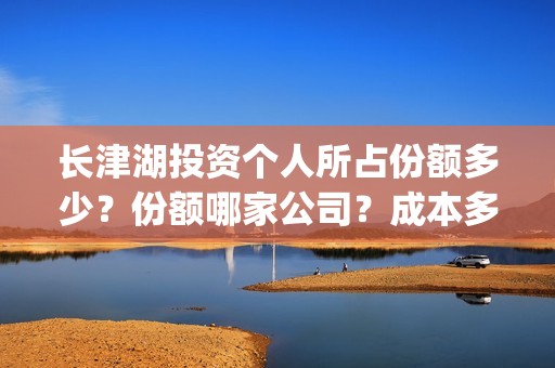 长津湖投资个人所占份额多少？份额哪家公司？成本多少？(长津湖的投资)