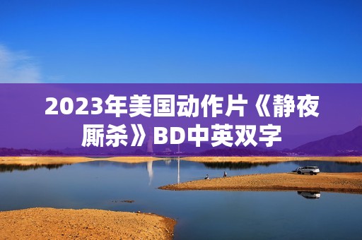 2023年美国动作片《静夜厮杀》BD中英双字