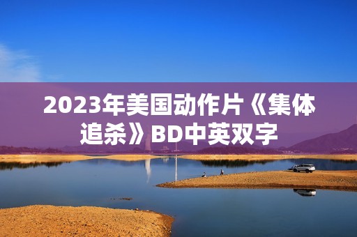 2023年美国动作片《集体追杀》BD中英双字
