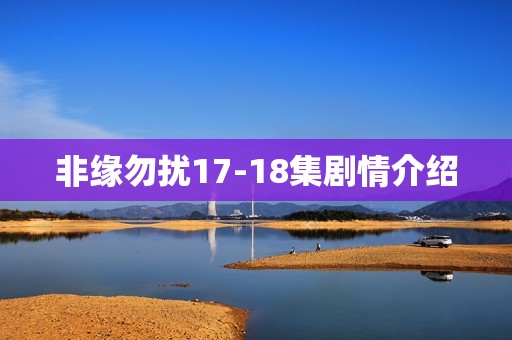 非缘勿扰17-18集剧情介绍