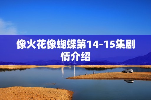 像火花像蝴蝶第14-15集剧情介绍