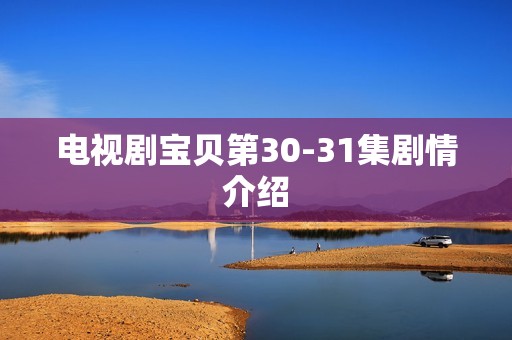 电视剧宝贝第30-31集剧情介绍