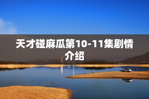 天才碰麻瓜第10-11集剧情介绍