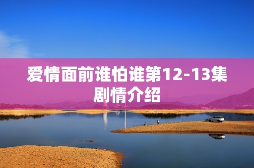 爱情面前谁怕谁第12-13集剧情介绍