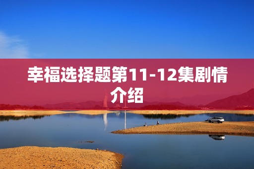 幸福选择题第11-12集剧情介绍