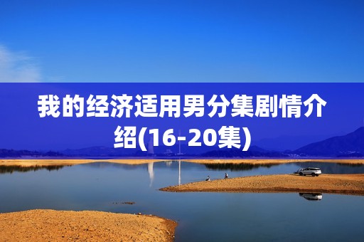 我的经济适用男分集剧情介绍(16-20集)