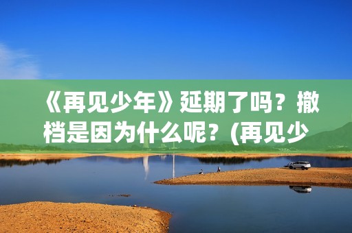 《再见少年》延期了吗？撤档是因为什么呢？(再见少年延期)