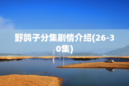 野鸽子分集剧情介绍(26-30集)